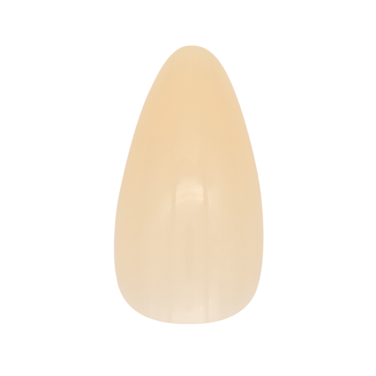 Looky Faux Ongles à Coller Colorés Beige