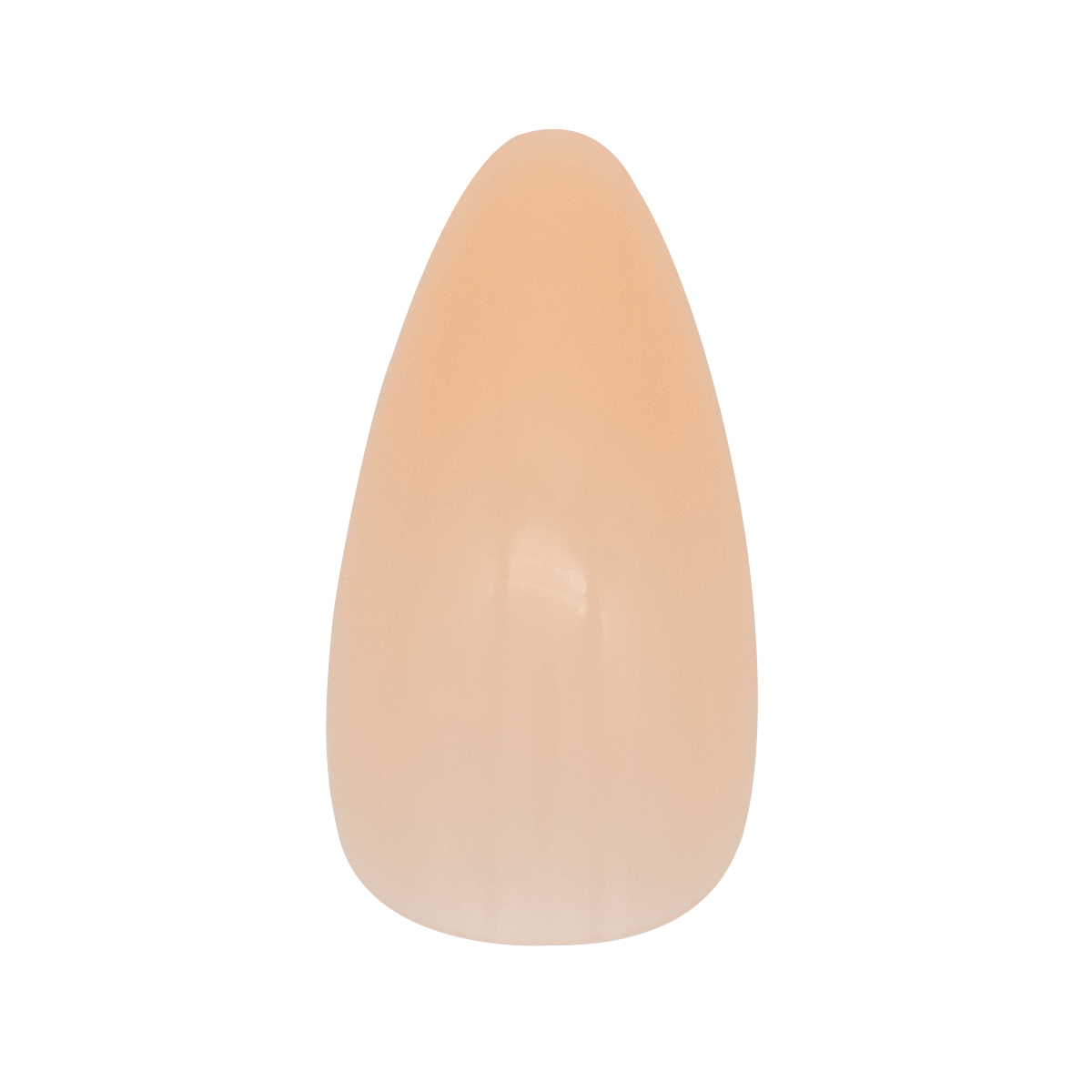 Looky Faux Ongles à Coller Colorés Beige