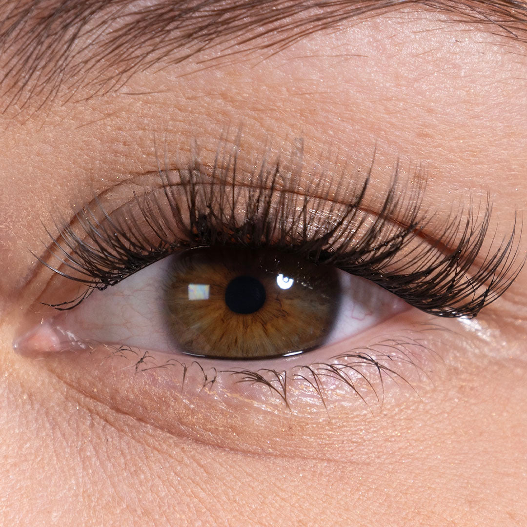 Looky Extensions Cils #3 (EXCLUSIVITÉ WEB)